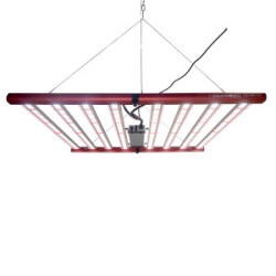 BloomStar Pro 720 3.0 DUAL-Spec