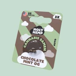 Chocolate Mint OG Cannabissamen