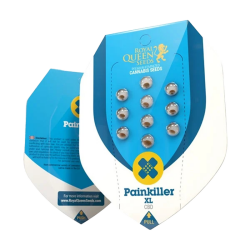 Painkiller XL CBD | Feminisiert