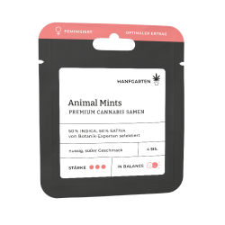 Animal Mints | Feminisiert