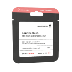 Banana Kush | Feminisiert