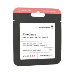 Blueberry | Feminisiert