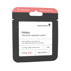 Gelato | Feminisiert