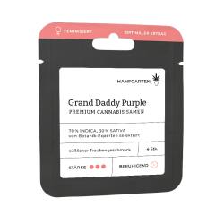 Grand Daddy Purple (GDP) | Feminisiert
