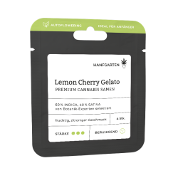Lemon Cherry Gelato | Autoflowering