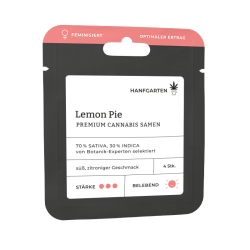 Lemon Pie | Feminisiert