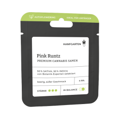 Pink Runtz | Autoflowering
