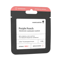 Purple Punch | Feminisiert