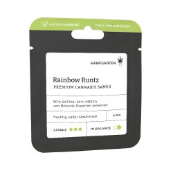 Rainbow Runtz | Autoflowering