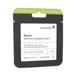 Runtz | Autoflowering