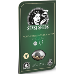 Northern Lights #5 x Haze Reguläre Hanfsamen, 10 Samen