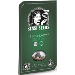 First Lady Reguläre Hanfsamen, 10 Samen