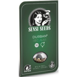 Durban Reguläre Hanfsamen, 10 Samen