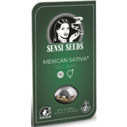 Mexican Sativa Reguläre Hanfsamen, 10 Samen