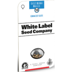 Sweet Berry Breeze Feminisierte Hanfsamen von White Label, 3 Samen