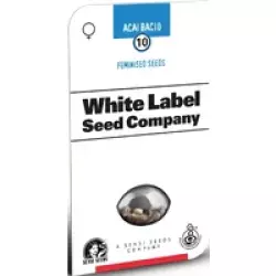 Acai Bacio Feminisierte Hanfsamen, 3 Samen