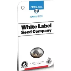 Papaya Roll Feminisierte Hanfsamen, 3 Samen