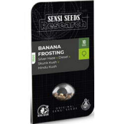 Banana Frosting Feminisierte Hanfsamen, 3 Samen