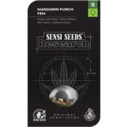 Mandarin Punch Feminisierte Hanfsamen, 3 Samen