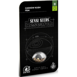 Cashew Kush Feminisierte Hanfsamen, 3 Samen