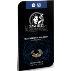 Blueberry Bubblegum Automatic Hanfsamen, 3 Samen