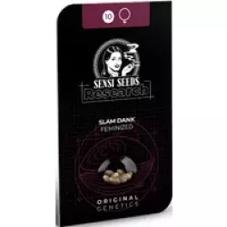 Slam Dank Feminisierte Hanfsamen, 3 Samen