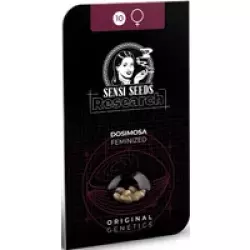 Dosimosa Feminisierte Hanfsamen, 3 Samen