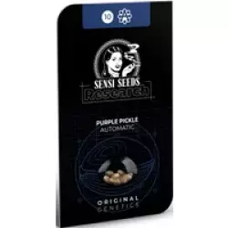 Purple Pickle Automatic Hanfsamen, 3 Samen