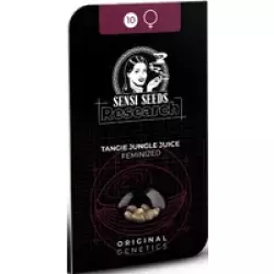 Tangie Jungle Juice Feminisierte Hanfsamen, 3 Samen
