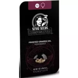 Frosted Grapes XXL Feminisierte Hanfsamen, 3 Samen