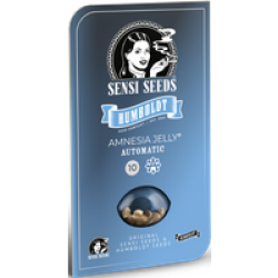 Amnesia Jelly Automatic Hanfsamen, 3 Samen