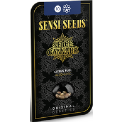 Citrus Fuel Automatic Hanfsamen, 3 Samen