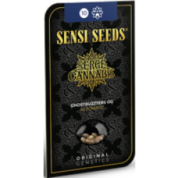 Ghostbuzzters OG Automatic Hanfsamen, 3 Samen