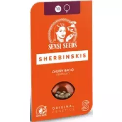 Cherry Bacio Feminisierte Hanfsamen, 3 Samen