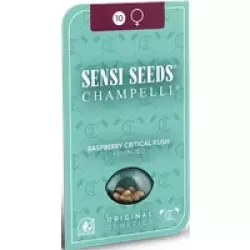Raspberry Critical Kush Feminisierte Hanfsamen, 3 Samen