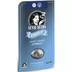 Haze Dawg Automatic Hanfsamen, 3 Samen