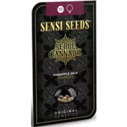 Pineapple Jack Feminisierte Hanfsamen, 3 Samen