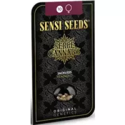 Jackuzzi Feminisierte Hanfsamen, 3 Samen