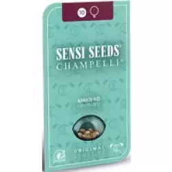 Karate Kid Feminisierte Hanfsamen, 3 Samen