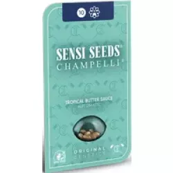 Tropical Butter Sauce Automatic Hanfsamen, 3 Samen