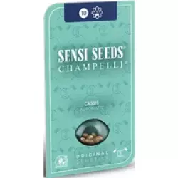 Cassis Automatic Hanfsamen, 3 Samen