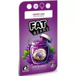 Grape Jam Feminisierte Hanfsamen, 3 Samen