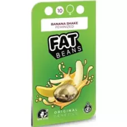 Banana Shake Feminisierte Hanfsamen, 3 Samen