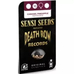 Caramel Pineapple Feminisierte Hanfsamen, 3 Samen