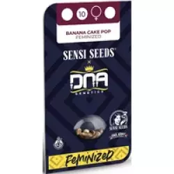 Banana Cake Pop Feminisierte Hanfsamen, 3 Samen