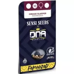 Grease Slapper Feminisierte Hanfsamen, 3 Samen