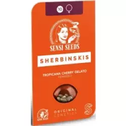 Tropicana Cherry Gelato Feminisierte Hanfsamen, 3 Samen