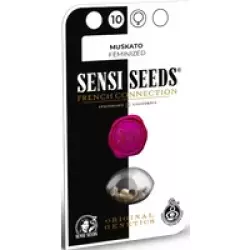 Muskato Feminisierte Hanfsamen, 3 Samen