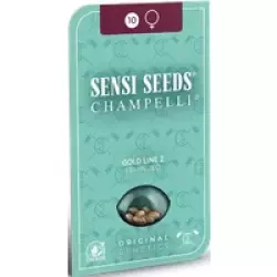 Gold Line Z Feminisierte Hanfsamen, 3 Samen