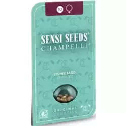 Lychee Sago Feminisierte Hanfsamen, 3 Samen